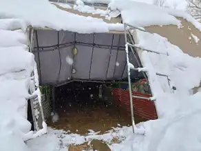 Kar Yüküne Dayanamadı: Bayburt'ta Ahır Çöktü