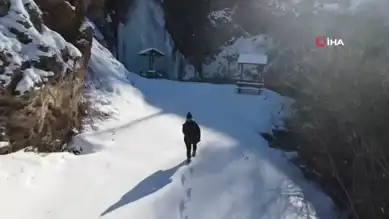 Doğu Anadolu'da Şelale Buzla Kaplandı!