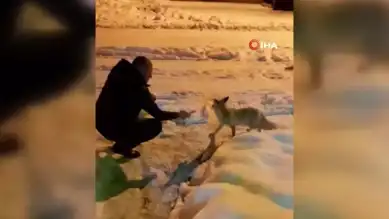 Kışın Acımasız Soğuğunda Bir Dostluk Hikayesi
