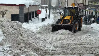 Kuzeydoğu'da Yaşamı Felç Eden Kar Yağışı