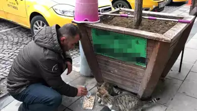 Taksici, Başıboş Hayvanları Besleyerek Güne Başlıyor
