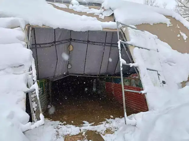 Kar Yüküne Dayanamadı: Bayburt'ta Ahır Çöktü