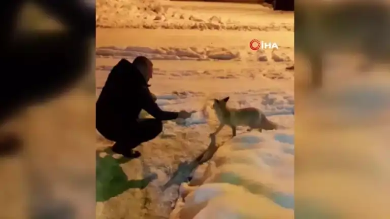 Kışın Acımasız Soğuğunda Bir Dostluk Hikayesi